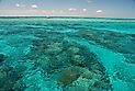 Amazing colors of coral reefs in John Pennekamp State Park, Key Largo, Florida 