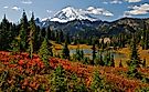Autumn colors in Mt. Rainier National Park