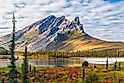 Sunlit Sukakpak Mountain reflected in a small lake surrounded by brightly colored tundra in late August in the Brooks Range of Alaska.
