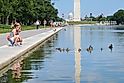 Washington D.C. / United States - June 01 2014: Children cheers the duck family in springtime - National Mall - Washington DC. Editorial credit: Orhan Cam / Shutterstock.com