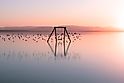 Salton sea Beach swing Bombay