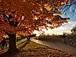 Late afternoon view from a sidewalk in Valley Forge National Historical Park. Editorial credit: Dinesh Manandhar / Shutterstock.com