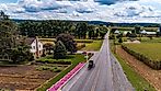 mish Horse and Buggy Travel on a Countryside Road, Passing Corn Fields and Home Garden, With Pink Flowers