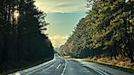 Tuskegee National Forest in Alabama