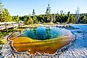 Colorful Morning Glory Pool - famous hot spring in the Yellowstone National Park, Wyoming.