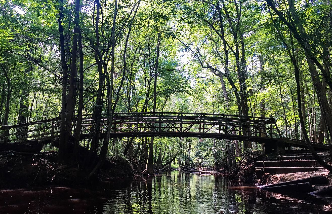 Bridge at South Cedar Creek, Congaree National Park. Editorial credit: Wikimedia Commons