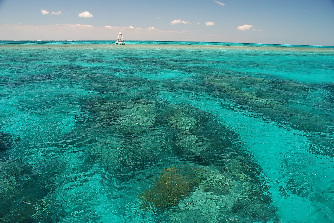 Amazing colors of coral reefs in John Pennekamp State Park, Key Largo, Florida 
