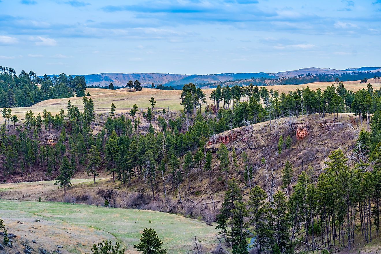 A beautiful overlooking view of nature in Wind Cave National Park, South Dakota