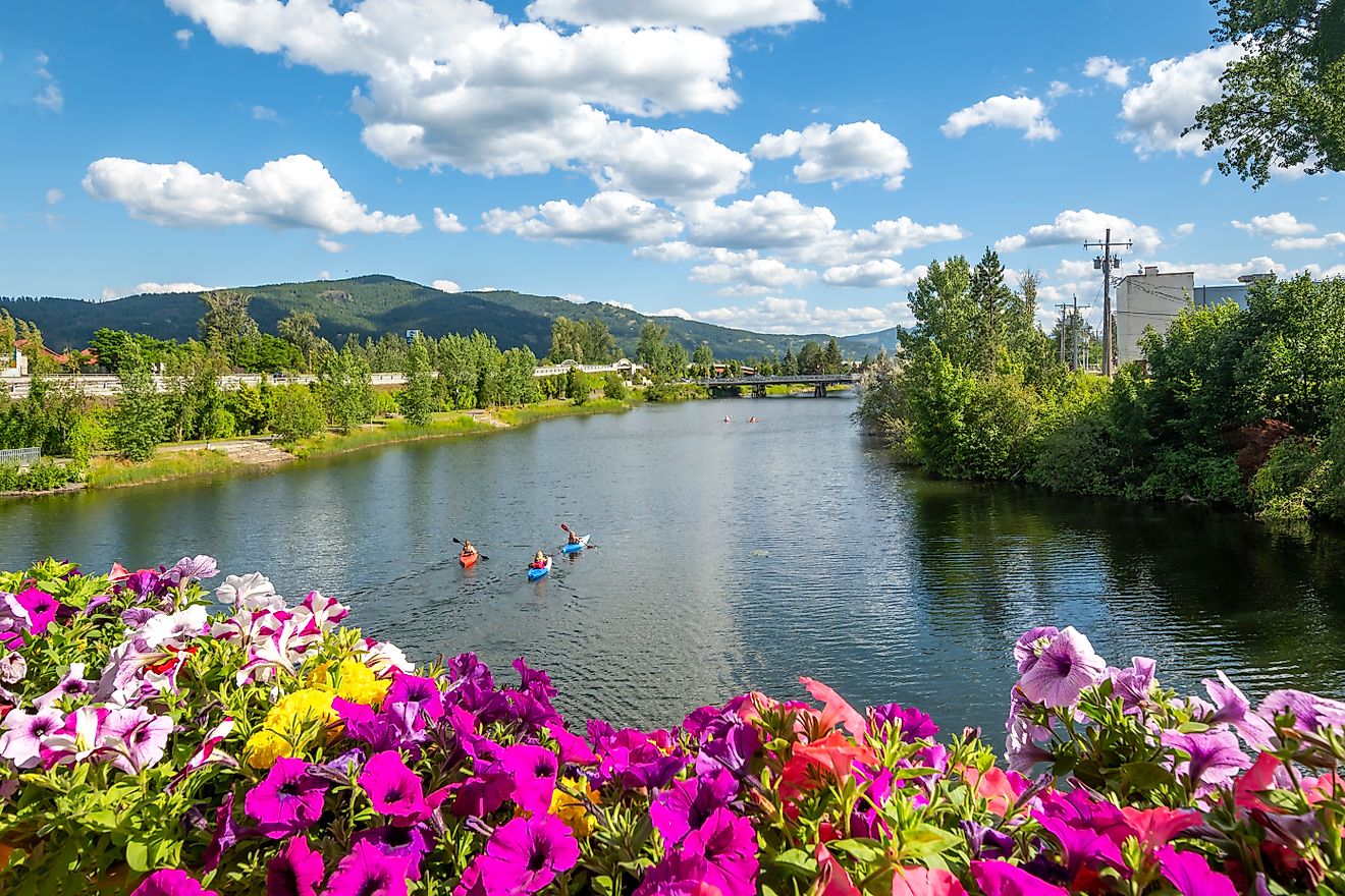 A group of kayakers enjoy a beautiful summer day on Sand Creek River and Lake Pend Oreille in the downtown area of Sandpoint, Idaho, USA