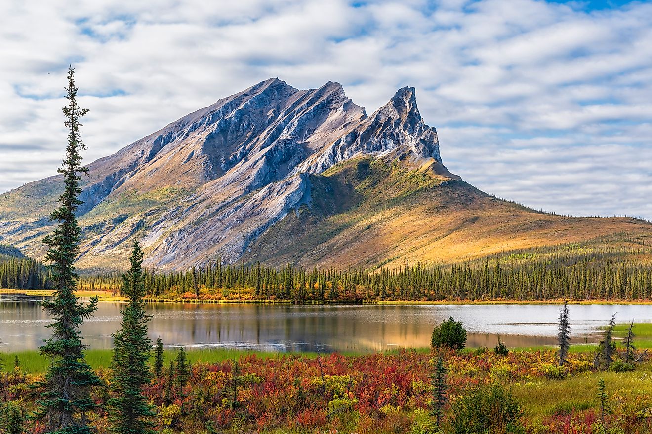 Sunlit Sukakpak Mountain reflected in a small lake surrounded by brightly colored tundra in late August in the Brooks Range of Alaska.