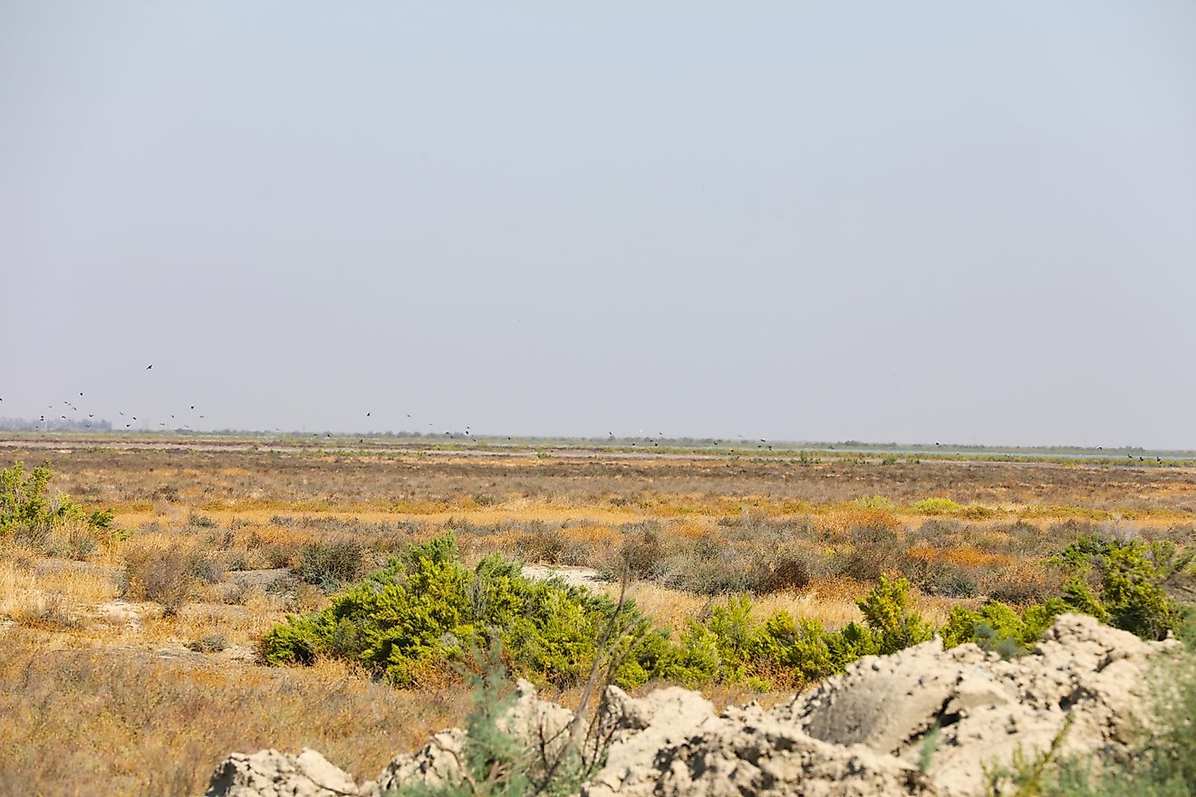 Tulare Lake in view from Kern National Wildlife Refuge. Editorial credit: USFWS Pacific Southwest Region, Public domain, via Wikimedia Commons