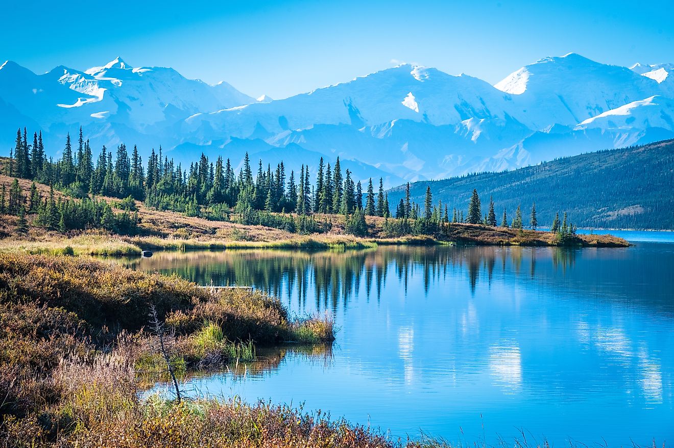 Denali National Park and Wonder lake with Mountain Background