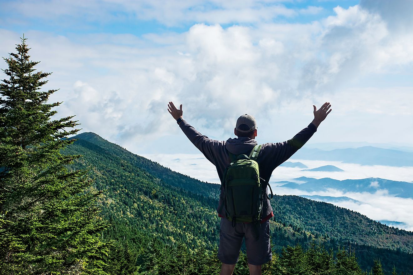 Man with arms raised relaxing on spring hiking trip. Man on top of the mountain enjoying beautiful foggy scenery. Mount Mitchell State Park, near Asheville, North Carolina