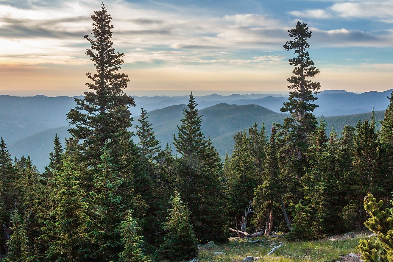 View of the Arapahoe National Forest from Mount Goliath in Colorado. 