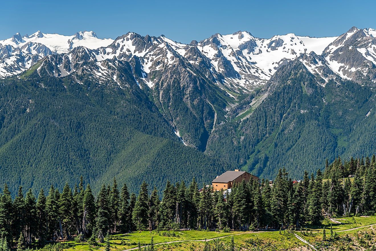 The Hurricane Ridge viewpoint of Olympic National park in Washington, USA. The background is snow mountain