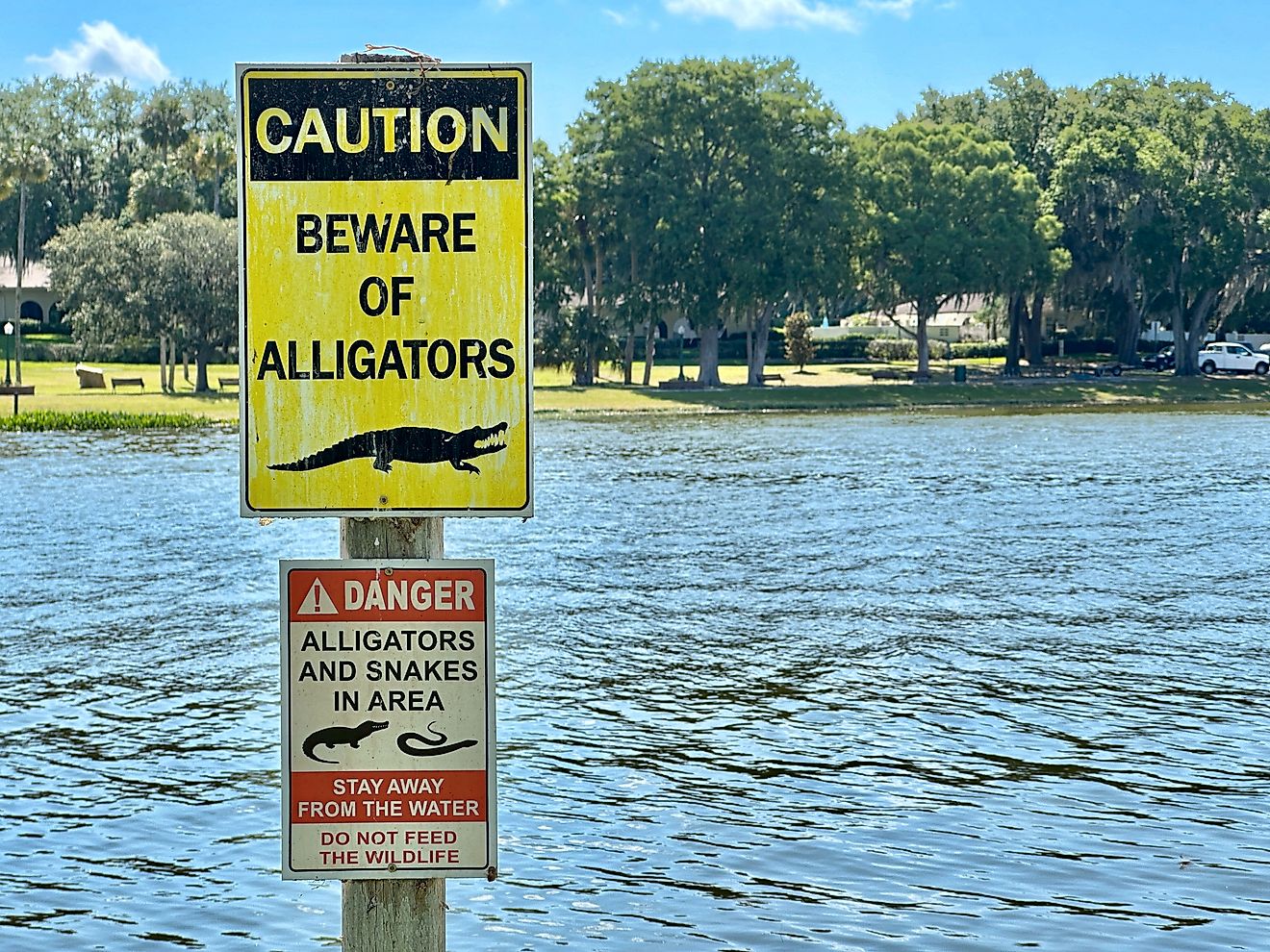  Alligator warning sign at Lake Dora Florida. Editorial credit: Paulm1993 / Shutterstock.com