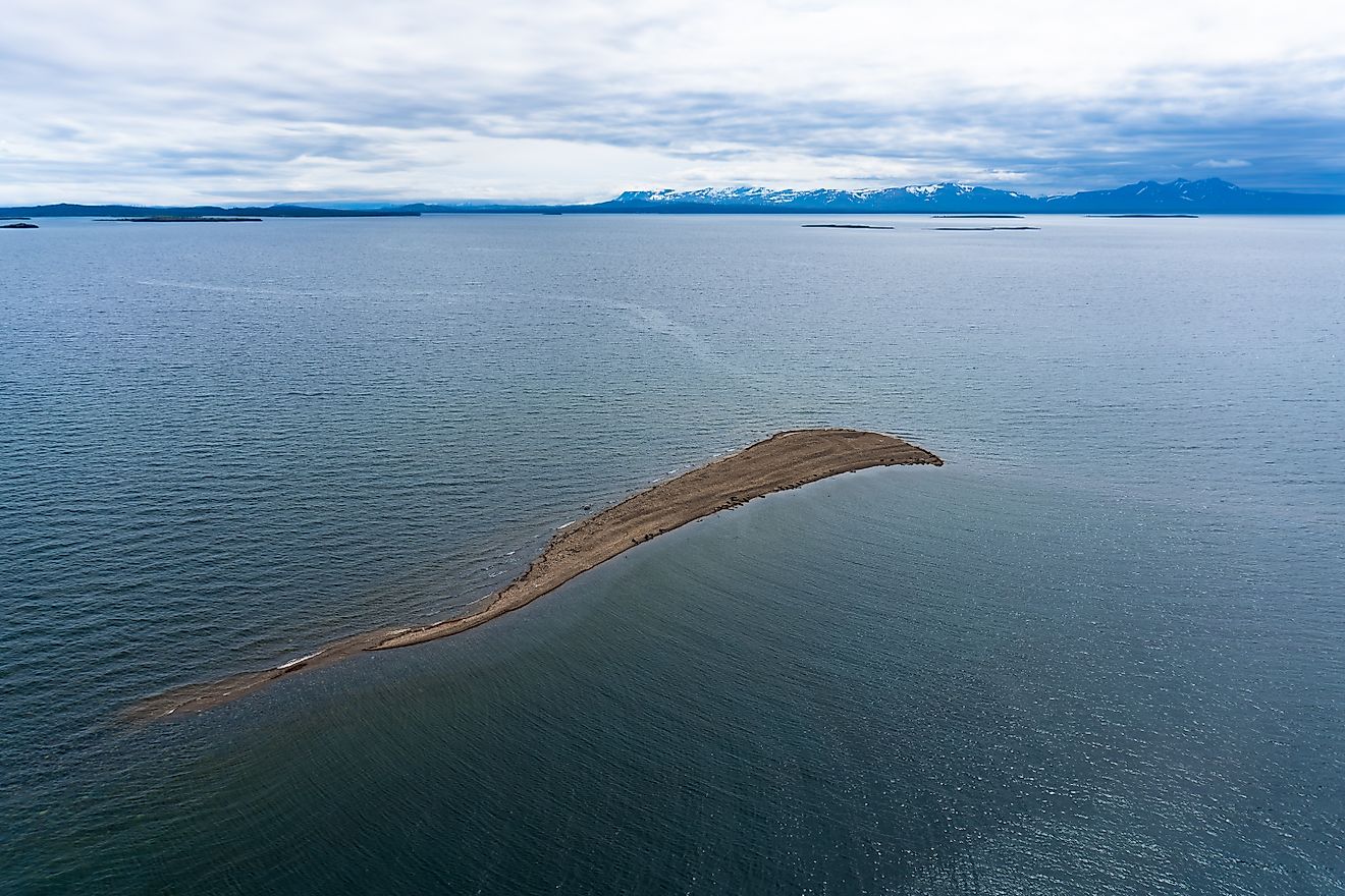 The Iliamna Lake seals of Alaska are the only freshwater seals in the United States. 