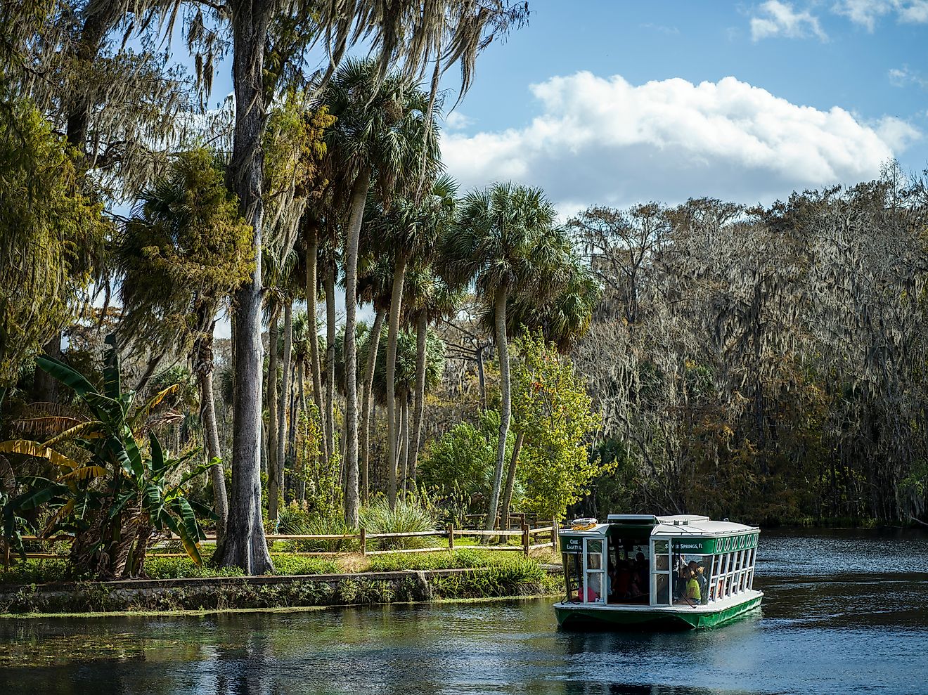 Ocala, Florida. Silver Spring State Park. 