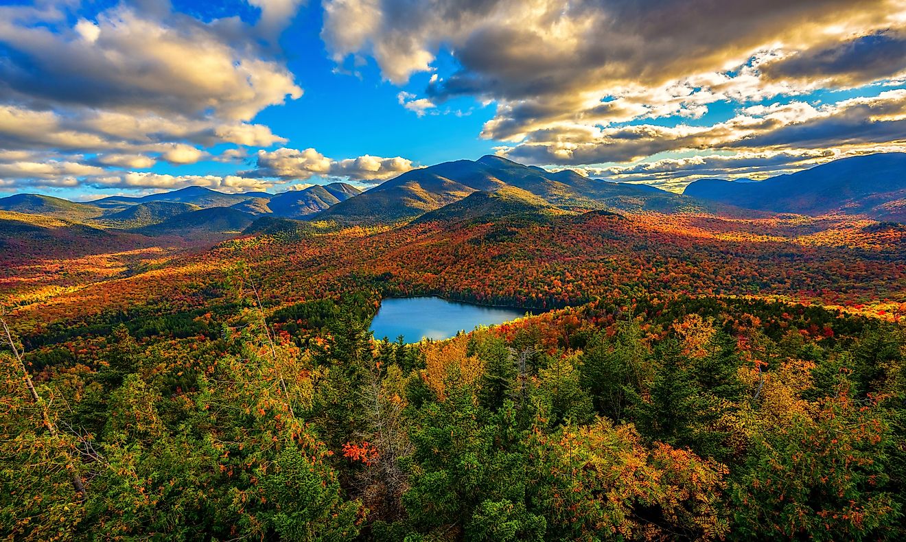 A scenic shot of the Adirondacks in the background of the fall forest
