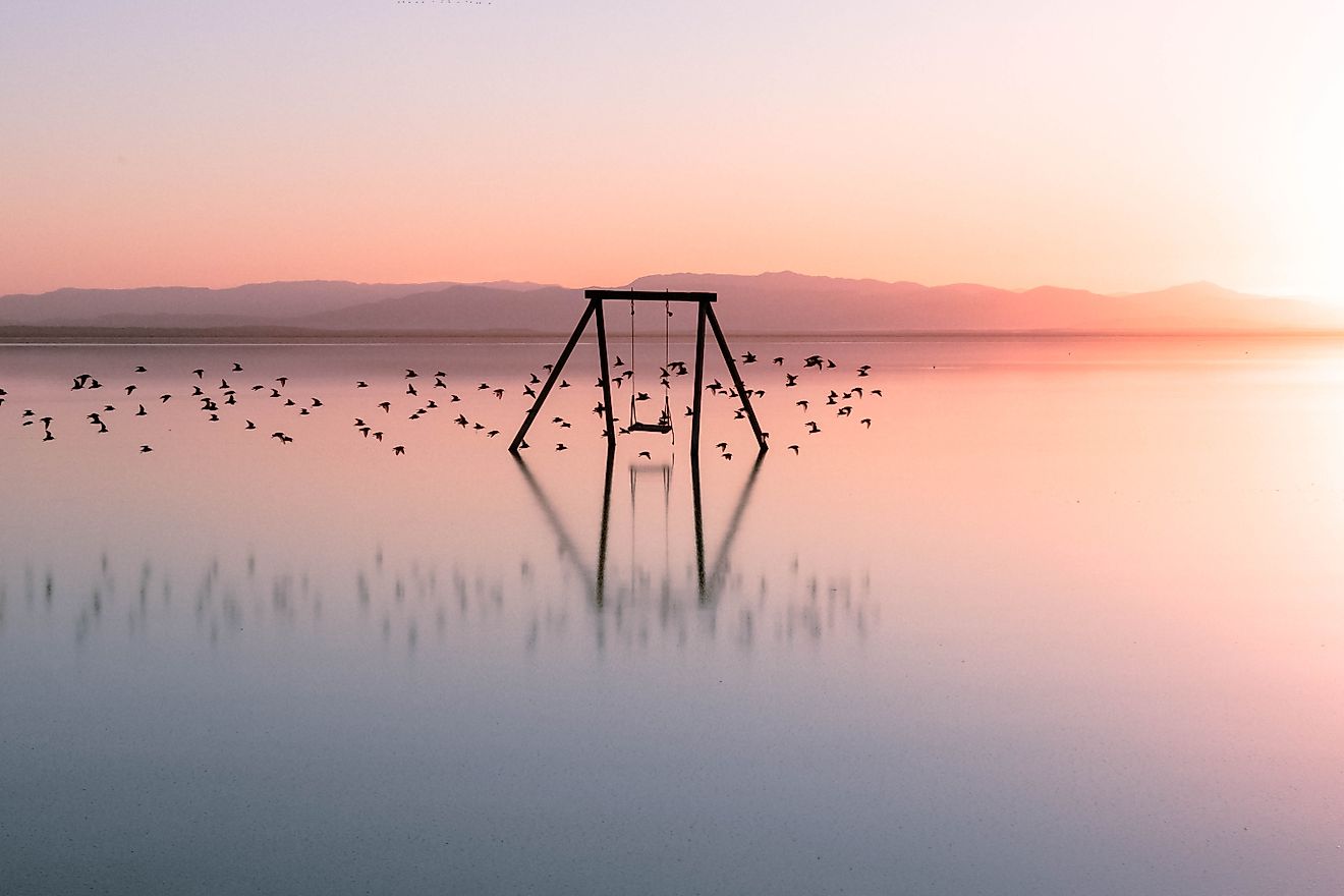 Salton sea Beach swing Bombay 
