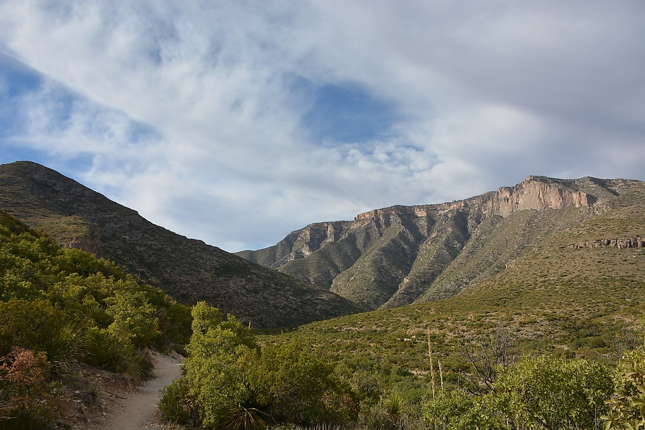 Scenes from the Mckittrick Canyon Trail in the Guadalupe National Park in Texas