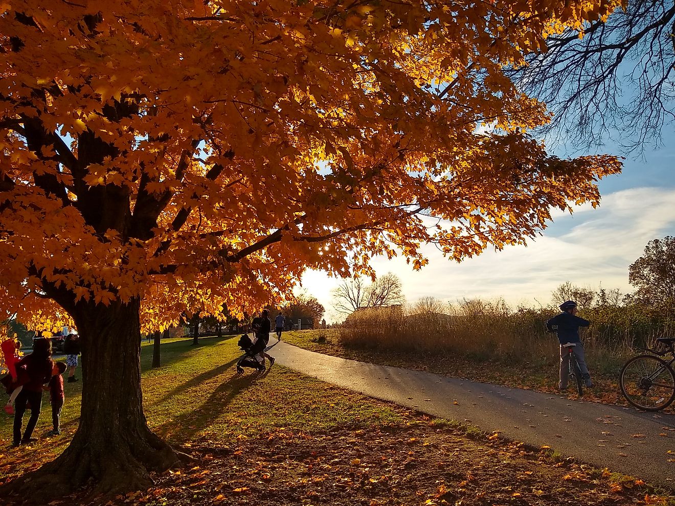 Late afternoon view from a sidewalk in Valley Forge National Historical Park. Editorial credit: Dinesh Manandhar / Shutterstock.com