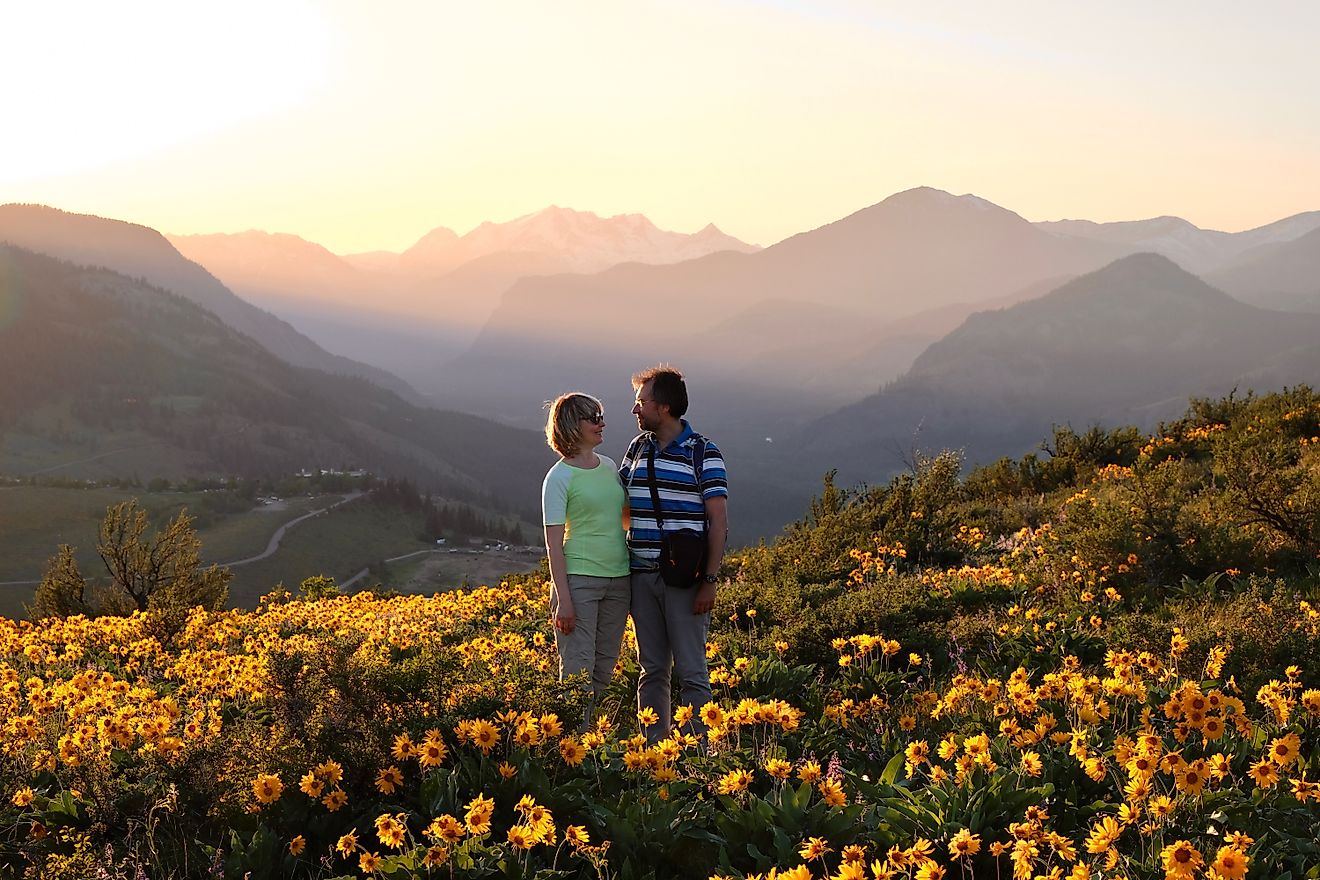 Smiling man and woman looking at each other on arnica meadow in bloom. Travel Pacific Northwest.