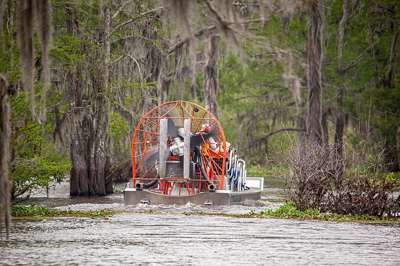 Airboat in the beautiful Henderson Swamp in Henderson, LA.