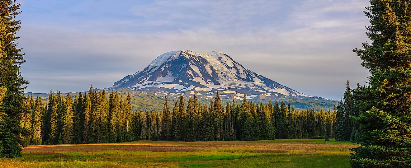 Amazing Vista of Mt. Adams in Washington State