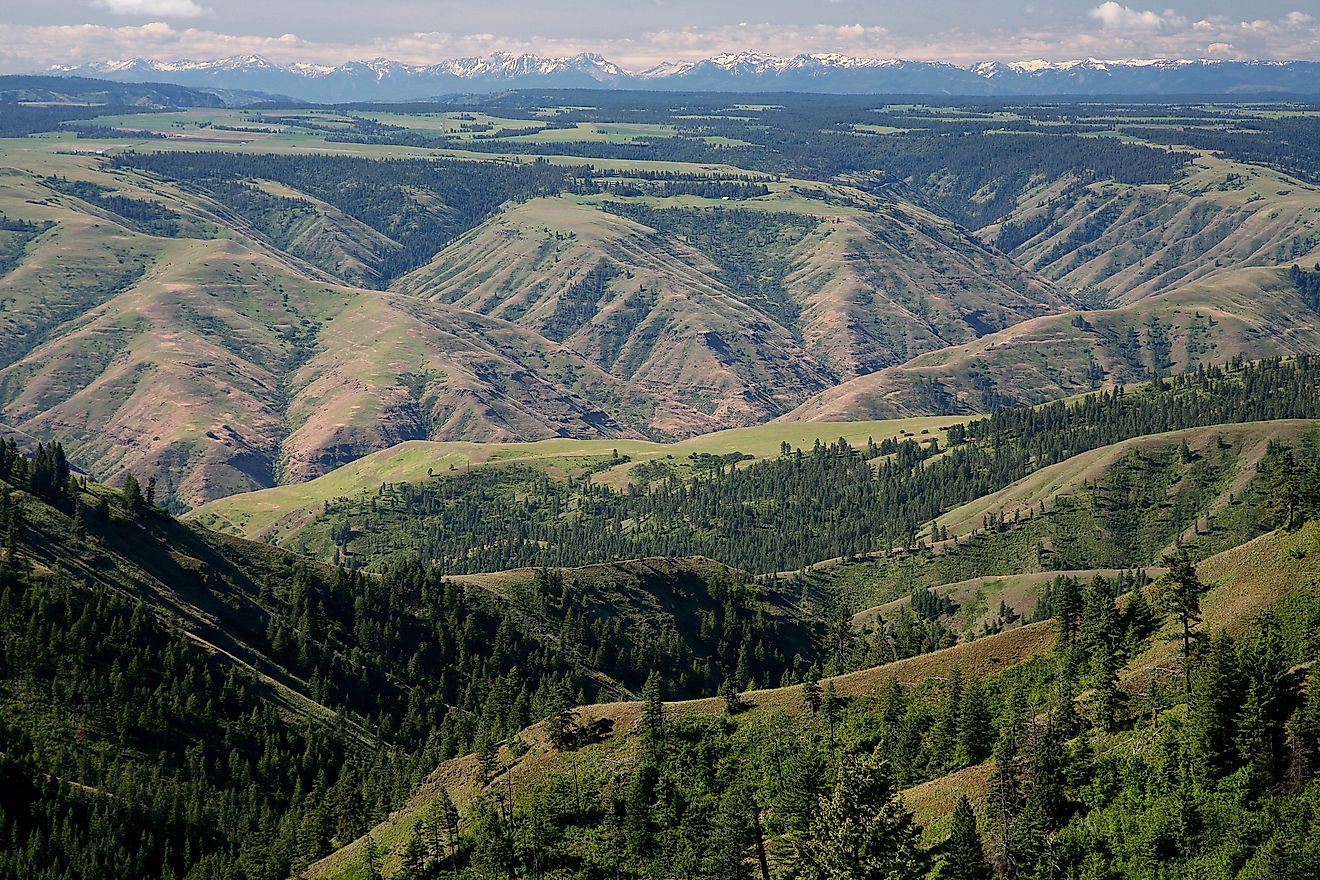 View of Grande Ronde River with Elkhorn Mountains on the Umatilla National Forest in northeastern Oregon