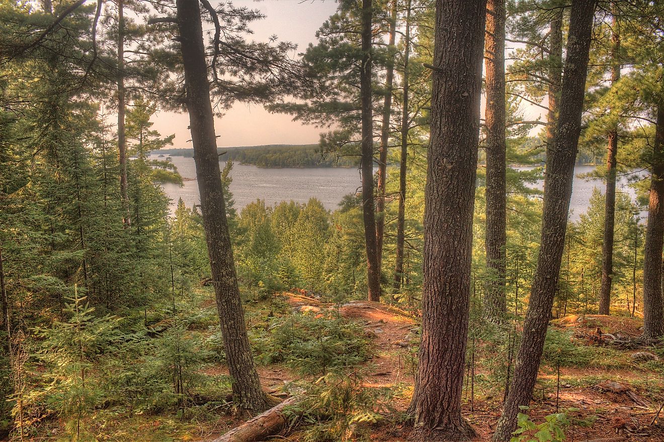Voyageurs National Park in Northern Minnesota during Summer