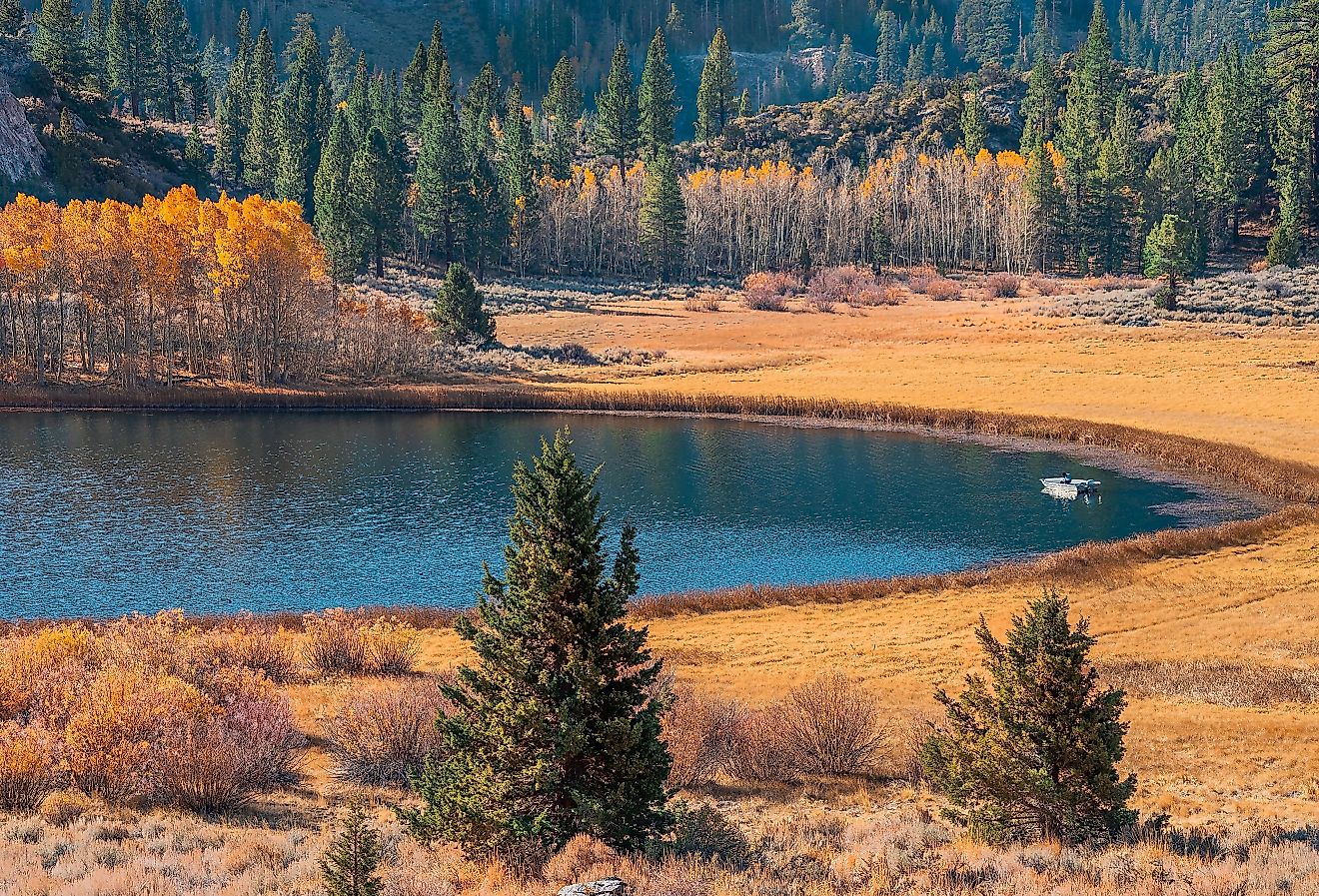 Fisherman floats on Gull Lake in the Autumn morning in the June Lake Loop of California. Image credit Patricia Elaine Thomas via Shutterstock.
