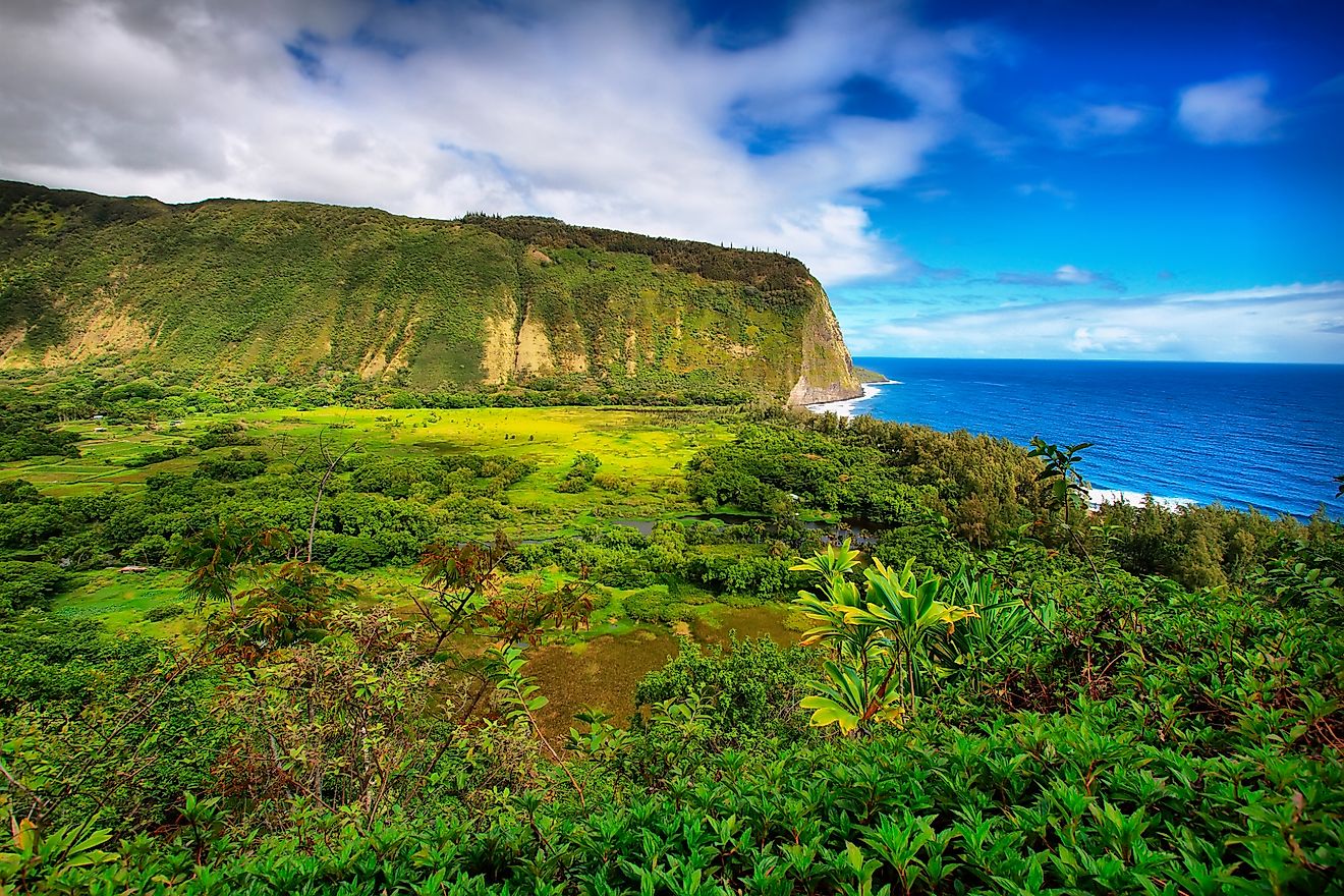 The Big Island of Hawaii is the largest island in the United States. 