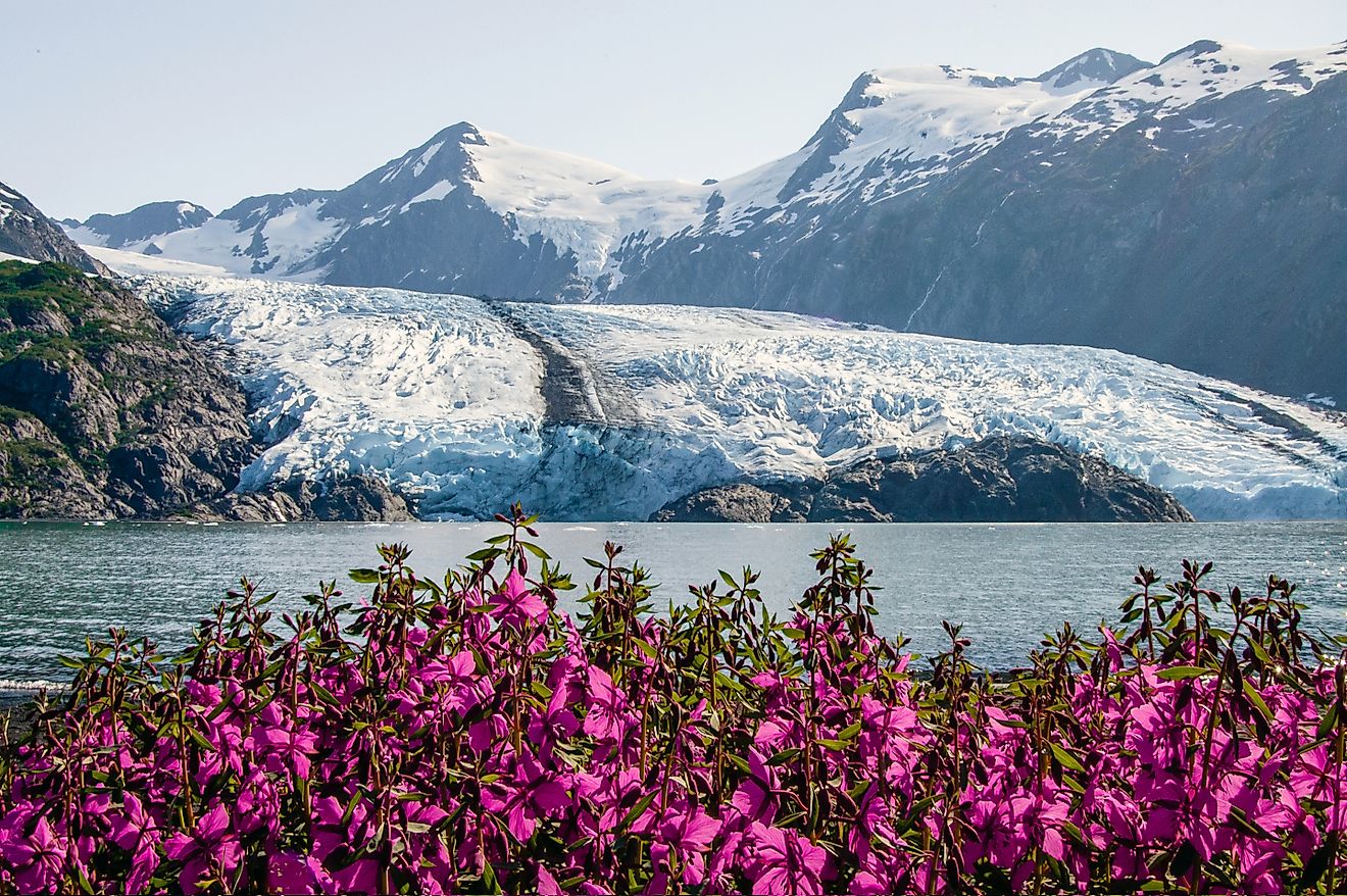 Portage glacier in the Chugach mountains and Portage lake in the background. Image credits: Mariia Suvorova via Shutterstock