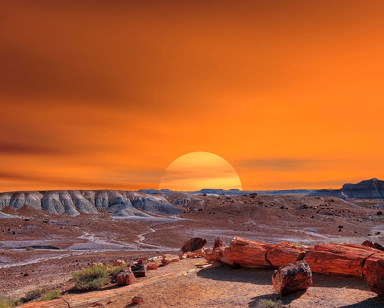 Sunset scenic landscape of ancient petrified forest in Arizona