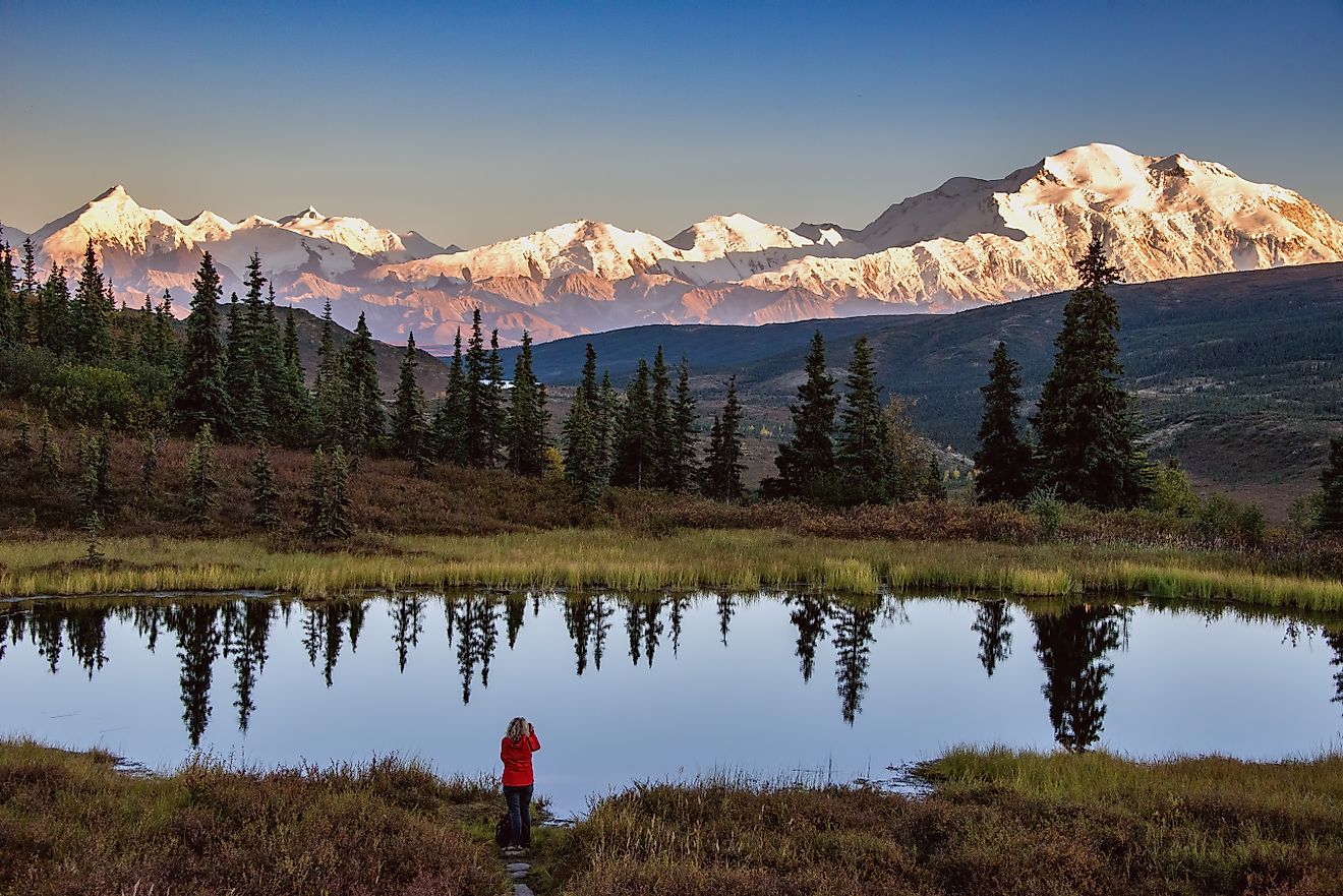 view of alaska's mount denali looms over calm pond at sunset, with clear blue sky above