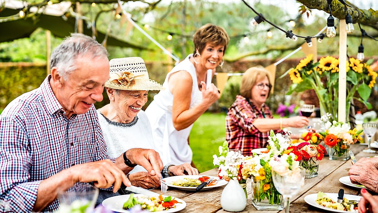 Happy senior people group having fun at pic nic barbecue garden diner