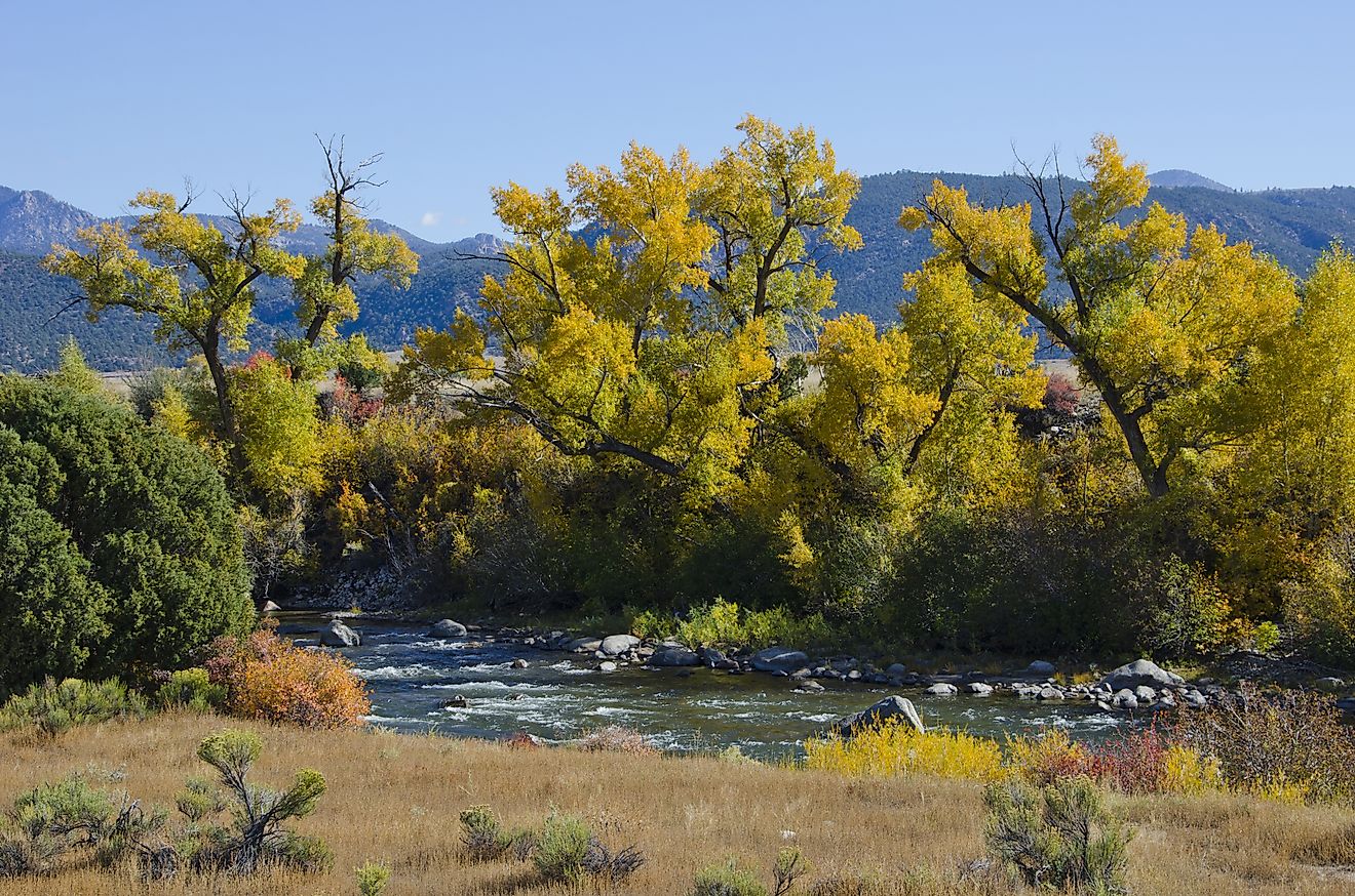 Autumn along the Arkansas River in central Colorado