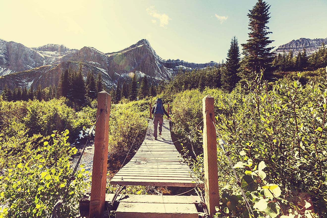 Hike in Glacier National Park, Montana