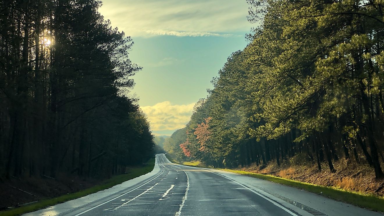 Tuskegee National Forest in Alabama