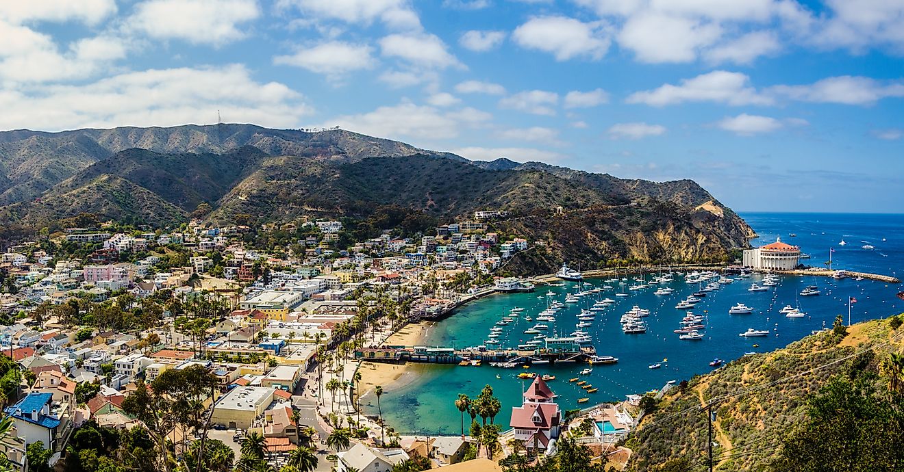 California island paradise, Catalina.