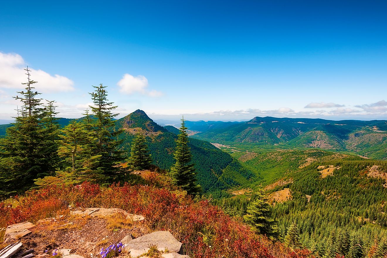 Hiking in Gifford Pinchot National Forest near Mt St. Helens afford vast views such as this overlooking the valley to the northwest.