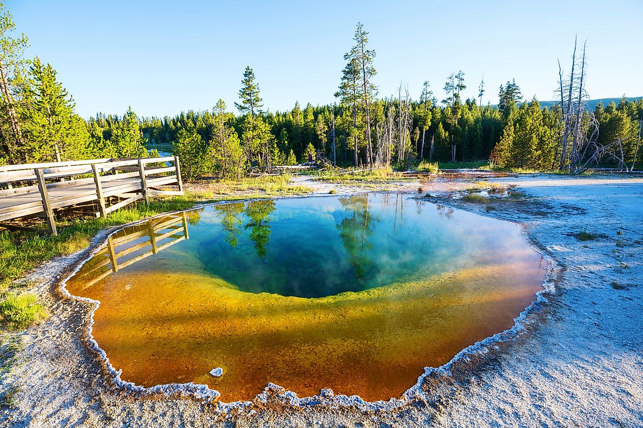 Colorful Morning Glory Pool - famous hot spring in the Yellowstone National Park, Wyoming.