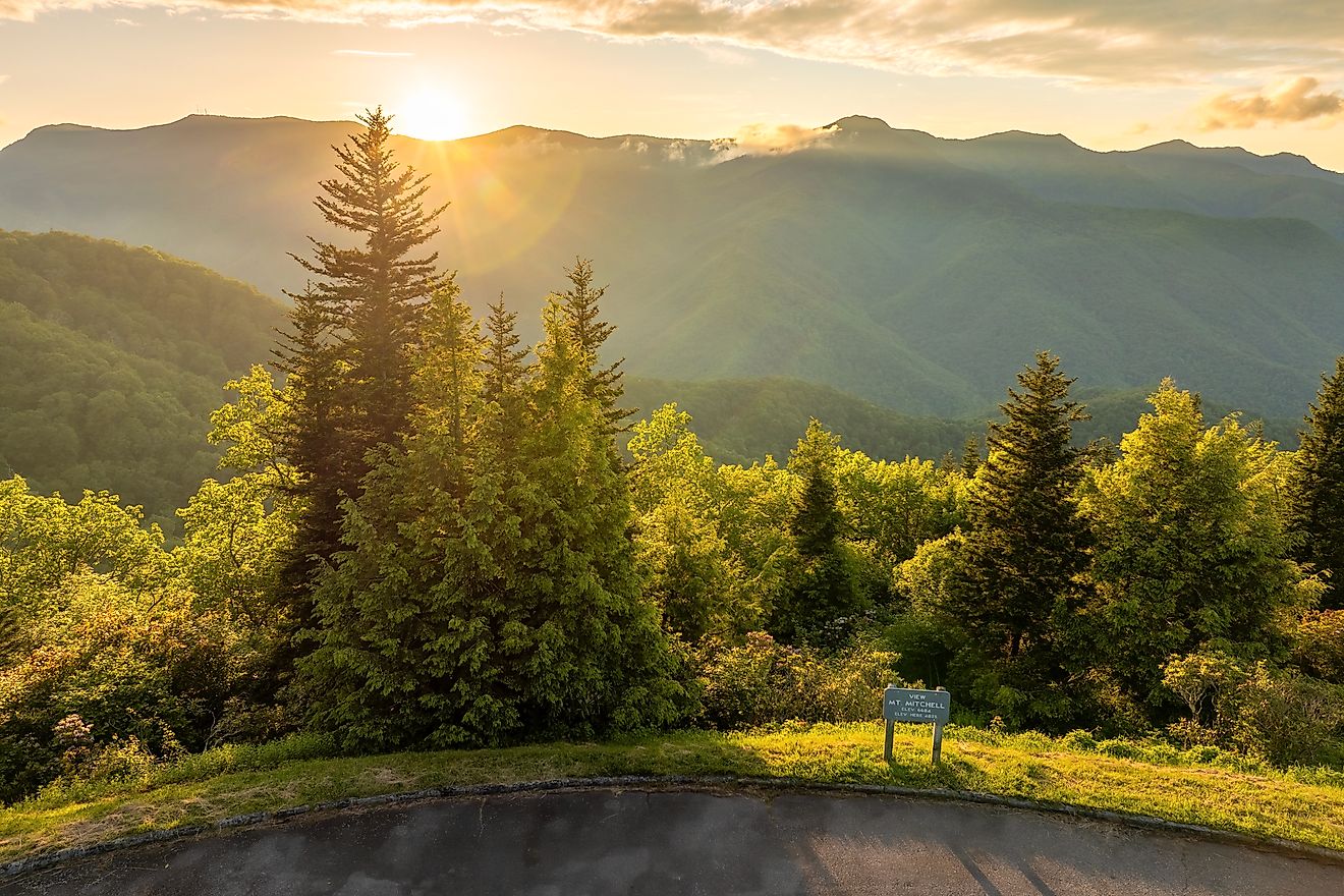 Road trip travel in Appalachian mountains at sunset. Mt. Mitchell Overlook on parkway and woods nature in summer season. 