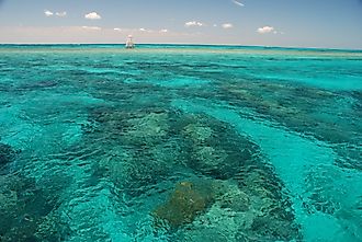 Amazing colors of coral reefs in John Pennekamp State Park, Key Largo, Florida 