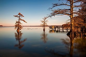 Landscapes of Reelfoot Lake Tennessee in Winter