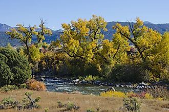 Autumn along the Arkansas River in central Colorado