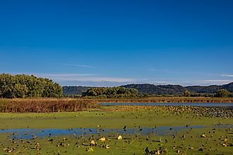 Mississippi River Backwaters