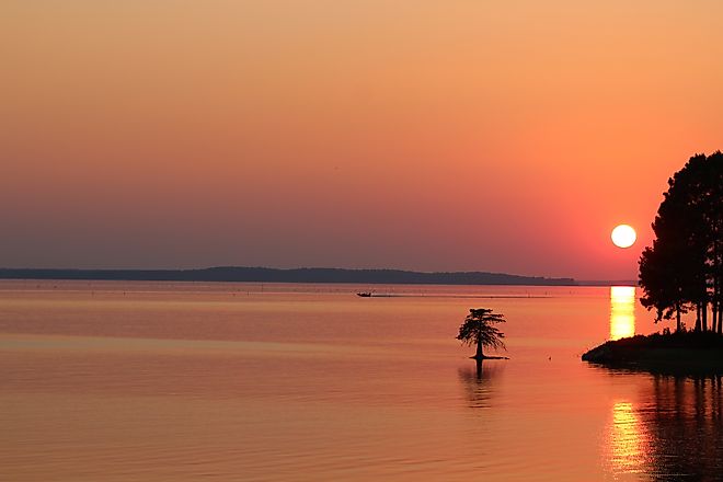 Toledo Bend Reservoir at sunset. Bass boat passing behind lonely young cypress tree.