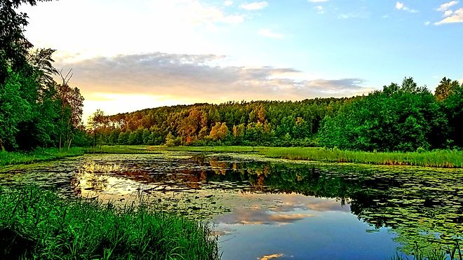 The sun setting over a small opening to a secluded lake located in Itasca County Minnesota within the Chippewa National Forest.